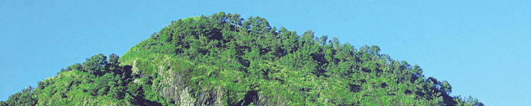 banner principal
